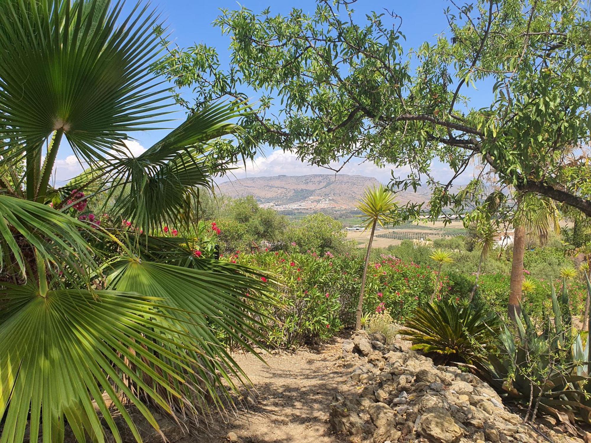 Finca Flamenco Holiday Suites Adults Only Pizarra Bagian luar foto